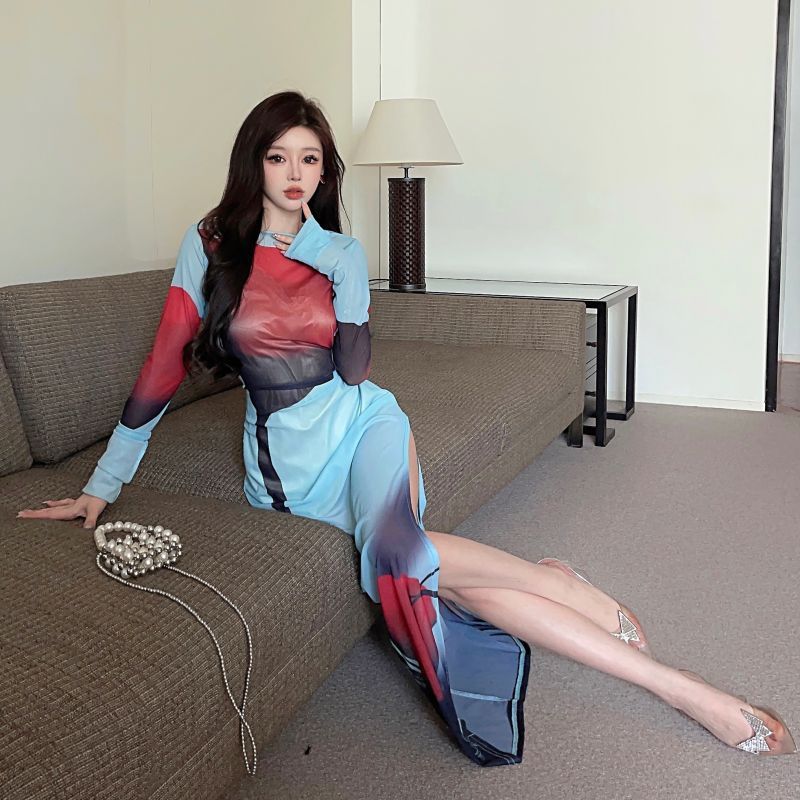 Printed Mesh See-through Split Long Dress