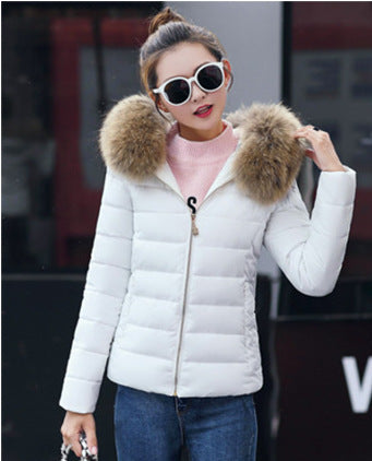 Women's Cotton-padded Coat Short Fur Collar Slim Quilted Coat