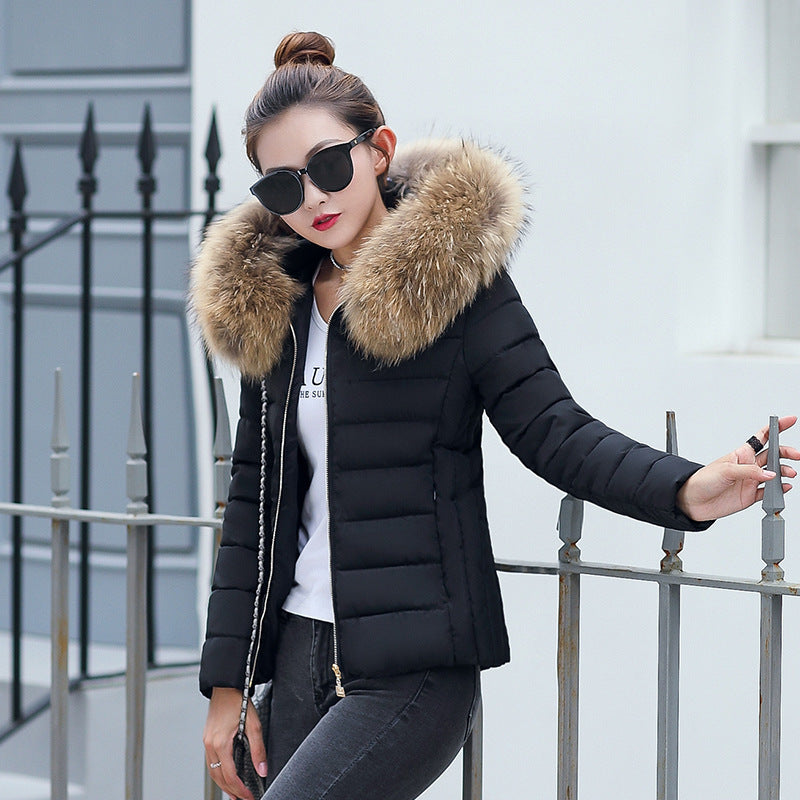 Women's Cotton-padded Coat Short Fur Collar Slim Quilted Coat