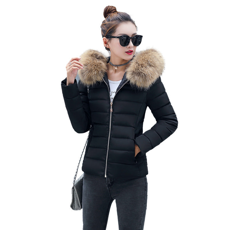 Women's Cotton-padded Coat Short Fur Collar Slim Quilted Coat