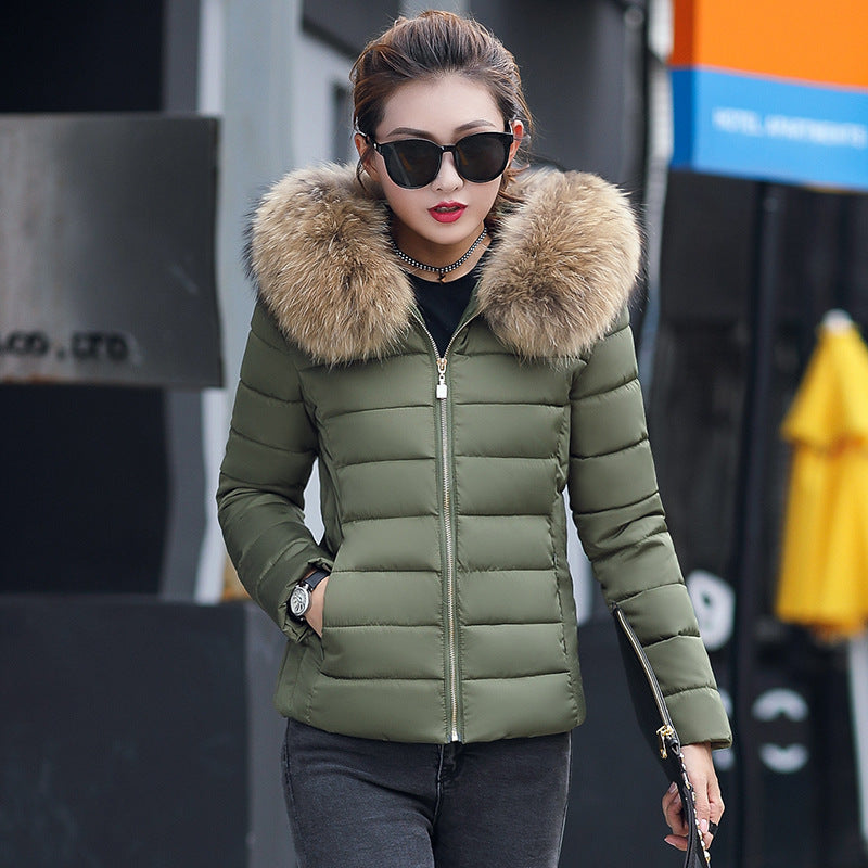 Women's Cotton-padded Coat Short Fur Collar Slim Quilted Coat