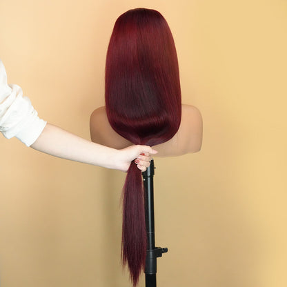 99J Wig Human Hair Wig 13x4 Lace Front Wig Straight